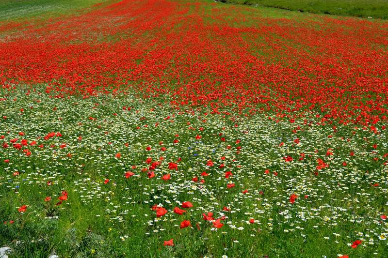 in alta quota nei miei Sibillini